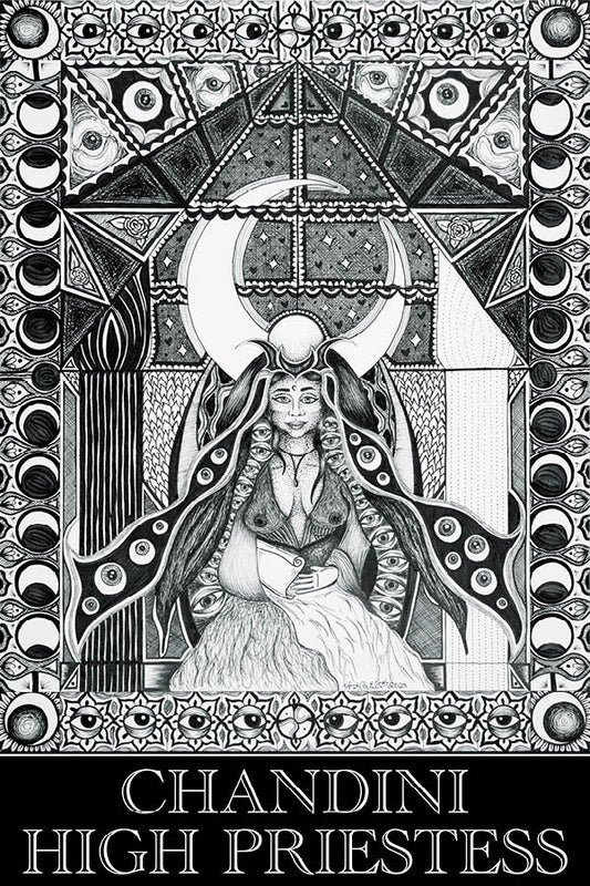 16 x 20 Fine Art Print: Chandini/High Priestess
